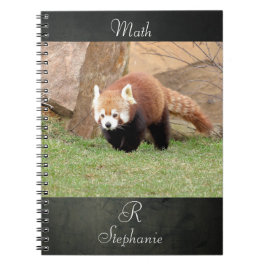 Notebook Foto rot Panda , Tiere 0436. Notizblock