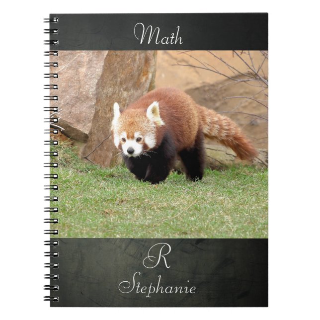 Notebook Foto rot Panda , Tiere 0436. Notizblock (Vorderseite)