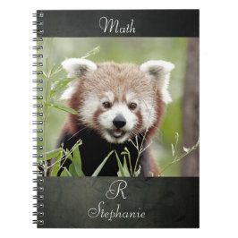 Notebook Foto rot Panda , Tiere 0440. Notizblock