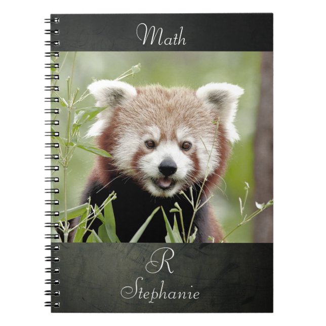 Notebook-Foto Rote Panda , Tiere 0443. Notebook Notizblock (Vorderseite)