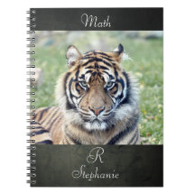 Notebook-Foto-Tiger , Tiere 0255.