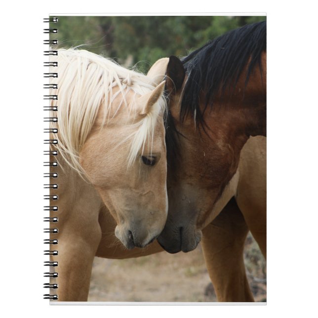 Notebook für Wildpferde Notizblock (Vorderseite)