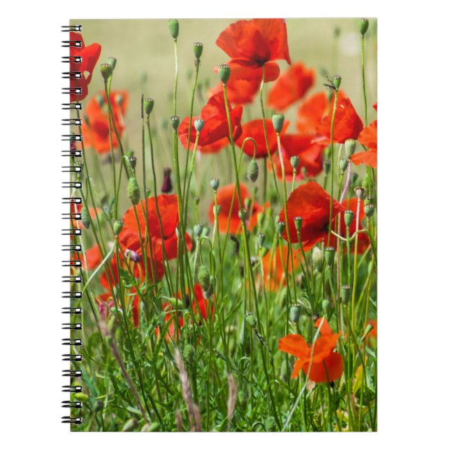 Notebook mit rotem Mohnfeld Notizblock (Vorderseite)
