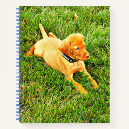 Notebook mit Vizsla Puppy Notizbuch