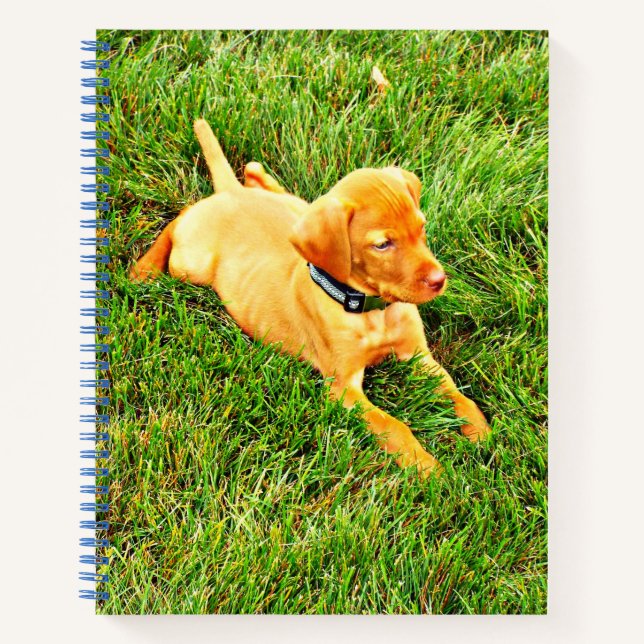 Notebook mit Vizsla Puppy Notizbuch (Vorderseite)