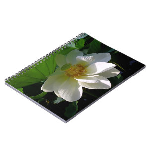 Notebook mit weißer Lotus-Blume Notizblock