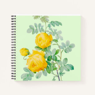 NOTEBOOK NOTIZBUCH