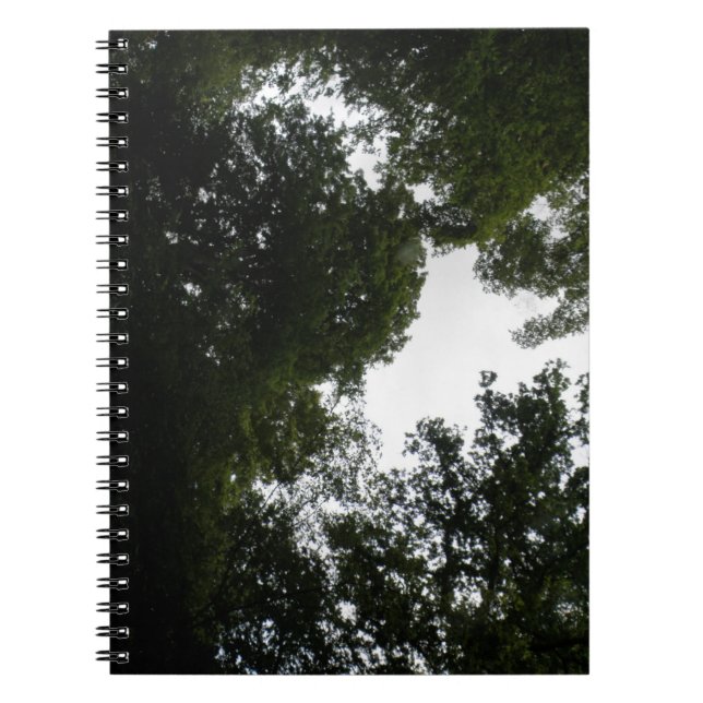 Notebook-PCs für Creepy Forest Notizblock (Vorderseite)