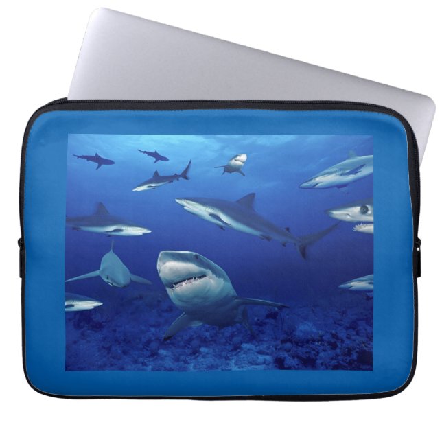 Notebookgehäuse 13" laptopschutzhülle (Vorderseite)