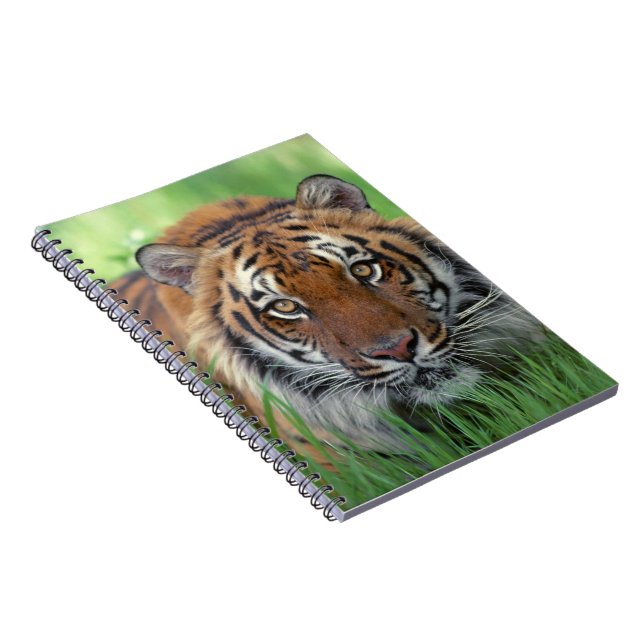 Notebooktiger Notizblock (Rechte Seite)