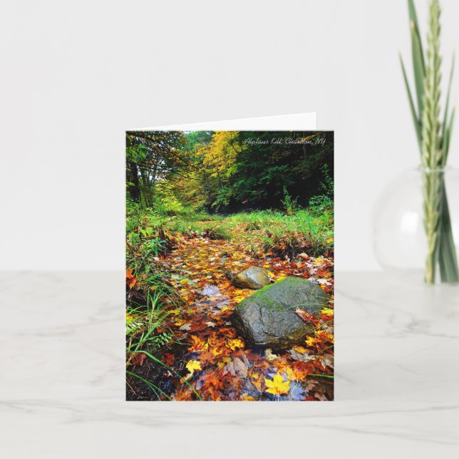 Notecard: Alplaus Tötung, Charlton, NY Karte (Vorderseite)