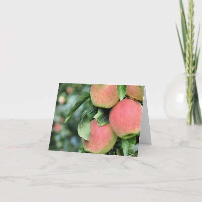 Notecard - Äpfel Karte (Vorderseite)