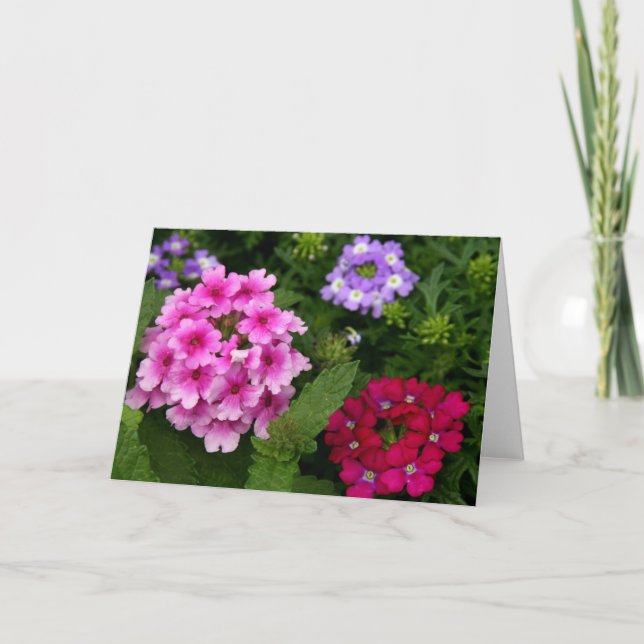 Notecard Blumen Karte (Vorderseite)