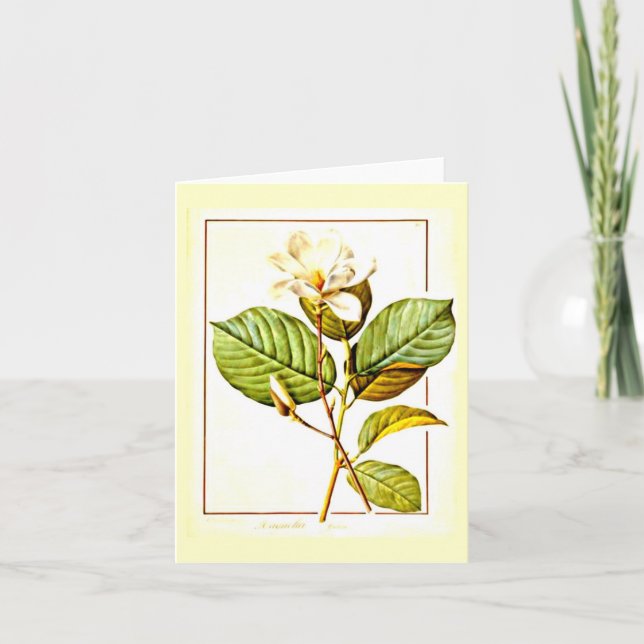 Notecard-Botanicals-Pierre Joseph Redoute 12 Karte (Vorderseite)
