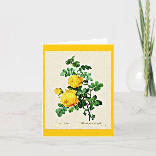Notecard-Botanicals-Pierre Joseph Redoute 13 Karte (Vorderseite)