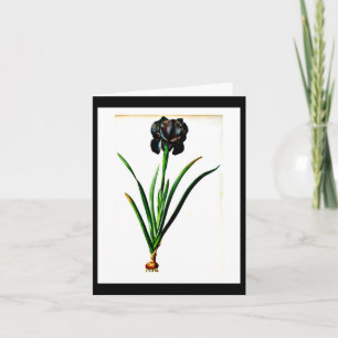 Notecard-Botanicals-Pierre Joseph Redoute 18 Karte