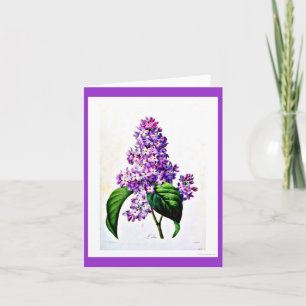 Notecard-Botanicals-Pierre Joseph Redoute 8 Karte
