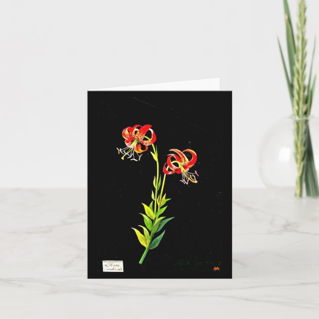 Notecard-Botanische Kunst-Mary-Delany 11 Karte (Vorderseite)