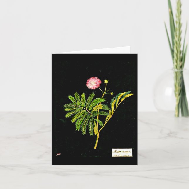 Notecard-Botanische Kunst-Mary-Delany 15 Karte (Vorderseite)