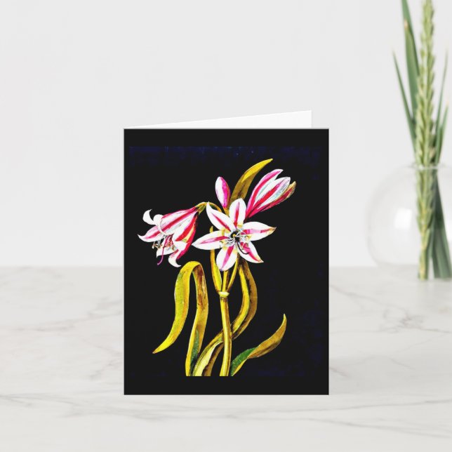 Notecard-Botanische Kunst-Mary-Delany 3 Karte (Vorderseite)