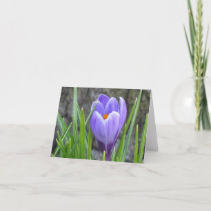 Notecard - Crocus Karte