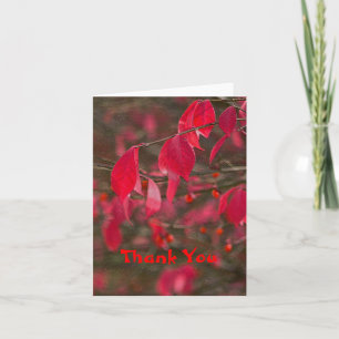 NOTECARD, "DANKE" ROTE BLÄTTER DANKESKARTE