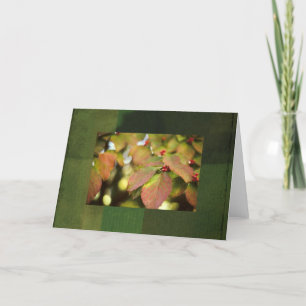 Notecard Fall Berries Karte