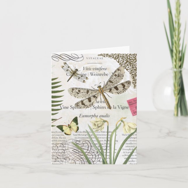 Notecard für Vintage Libellen Karte (Vorderseite)