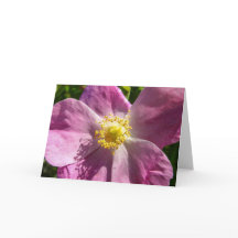 Notecard für wild lebende Rose