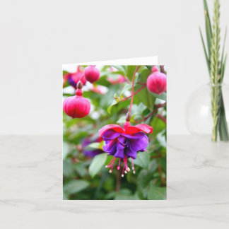 Notecard Fuschia Karte