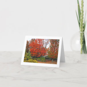 NOTECARD, HELLER ROTER BAUM UND BLÄTTER AUF DEM BO KARTE