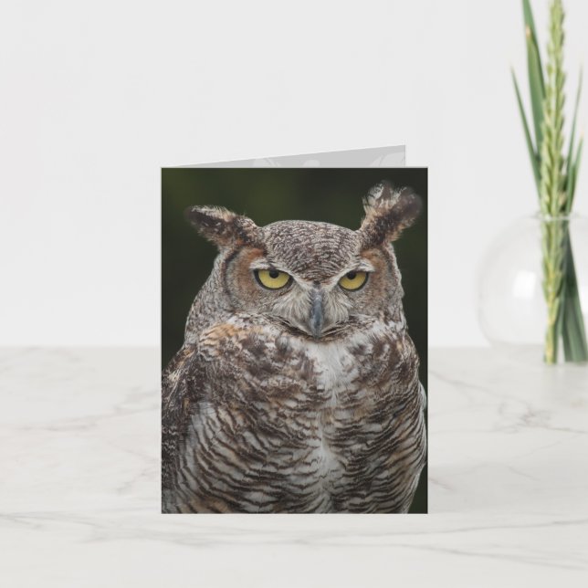 Notecard Horned Owl Karte (Vorderseite)