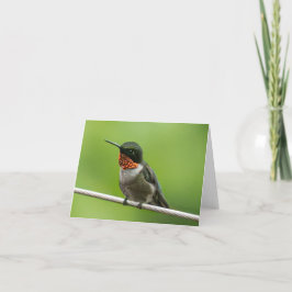 Notecard Hummingbird Dankeskarte