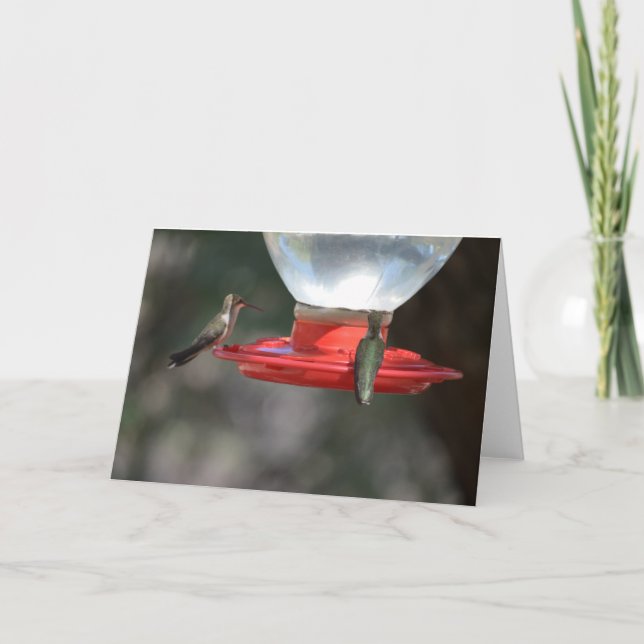 Notecard Hummingbird Karte (Vorderseite)