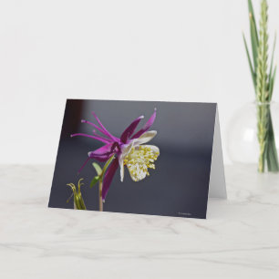 Notecard mit Erinnerungs-Columbine-Blume Karte