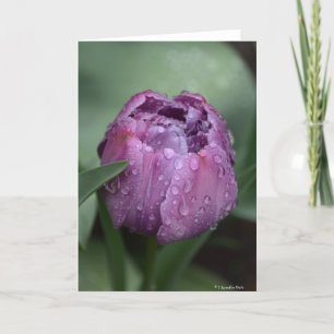 Notecard mit lila Tulpe Karte
