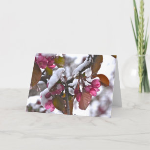Notecard mit Schnee auf Holzapfel-Blüte Karte