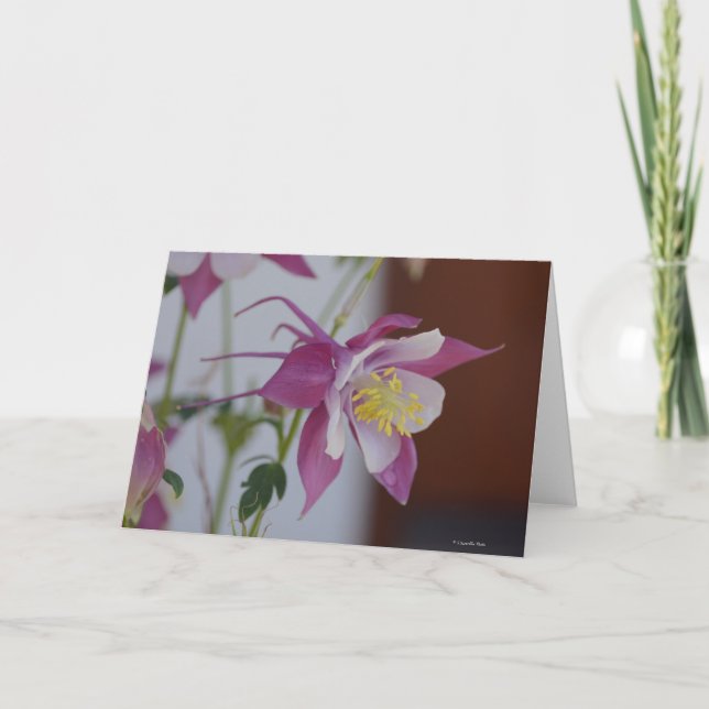 Notecard mit Singvogel Columbine Karte (Vorderseite)
