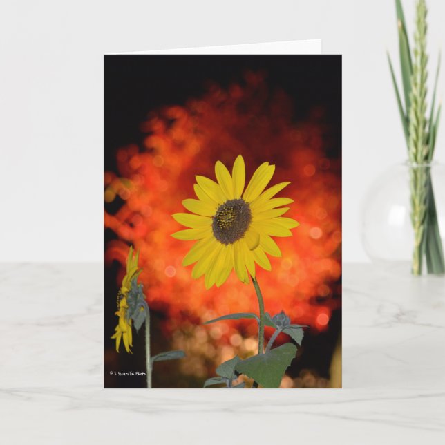 Notecard mit Sonnenblume Karte (Vorderseite)