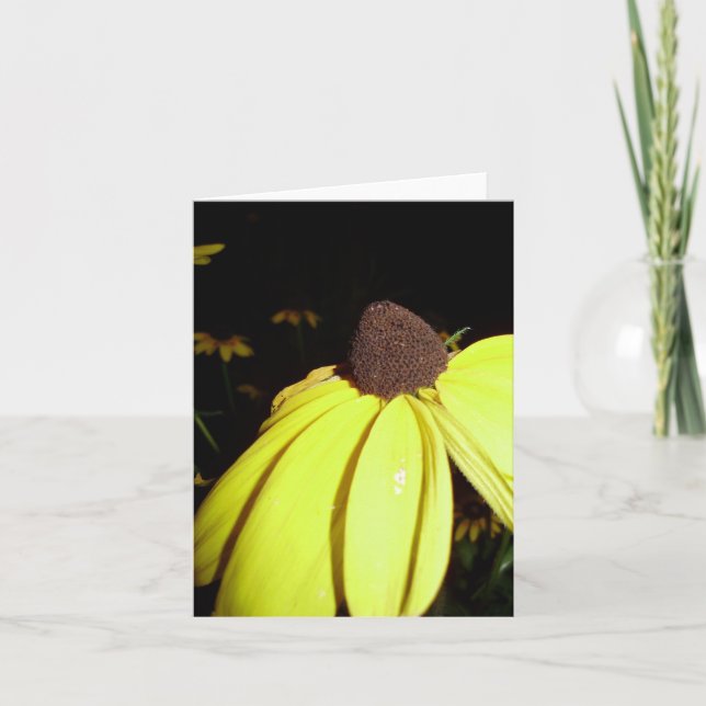 Notecard Rudebekia Karte (Vorderseite)