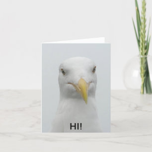 Notecard - Seagull sagt "Hi!" Karte