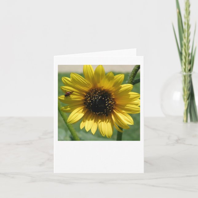 Notecard Sunflower 2 Karte (Vorderseite)