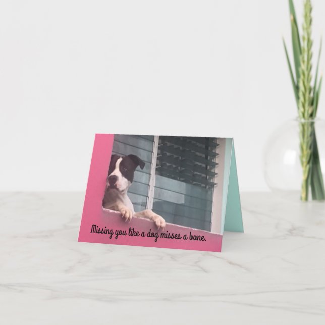 Notecard-vermisst, du magst einen Hund Karte (Vorderseite)