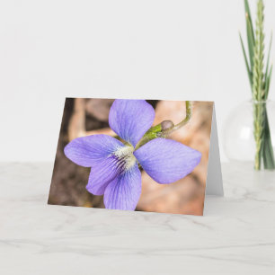 Notecard Wood Violet Wildblume Karte