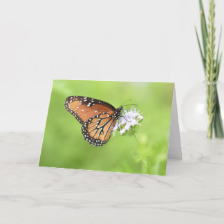 Notecards für Herbstschmetterlinge (Leere Innensei Karte