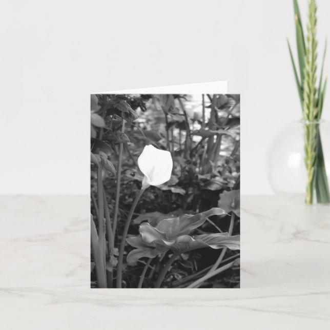 Notecards von Calla Lily Karte (Vorderseite)