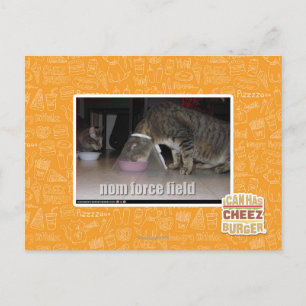 Notenkraftfeld Postkarte