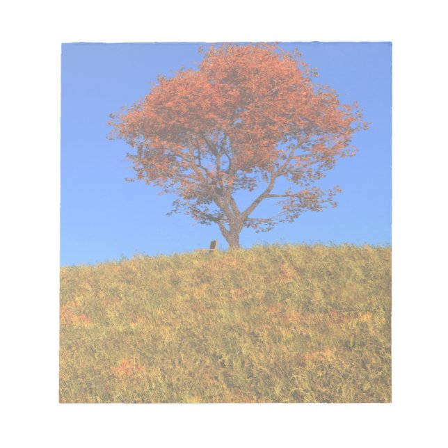 Notepad vom Herbsttag löschen Notizblock (Vorderseite)