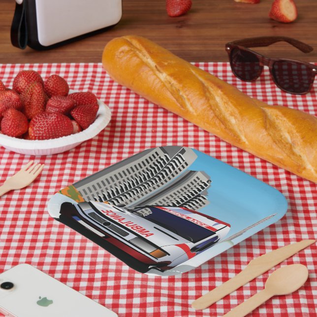 Notfall-Rettungsdienst in der Stadtumgebung Pappteller (Picknick)