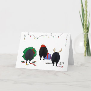 Nothin' Hintern A Schipperke Weihnachten